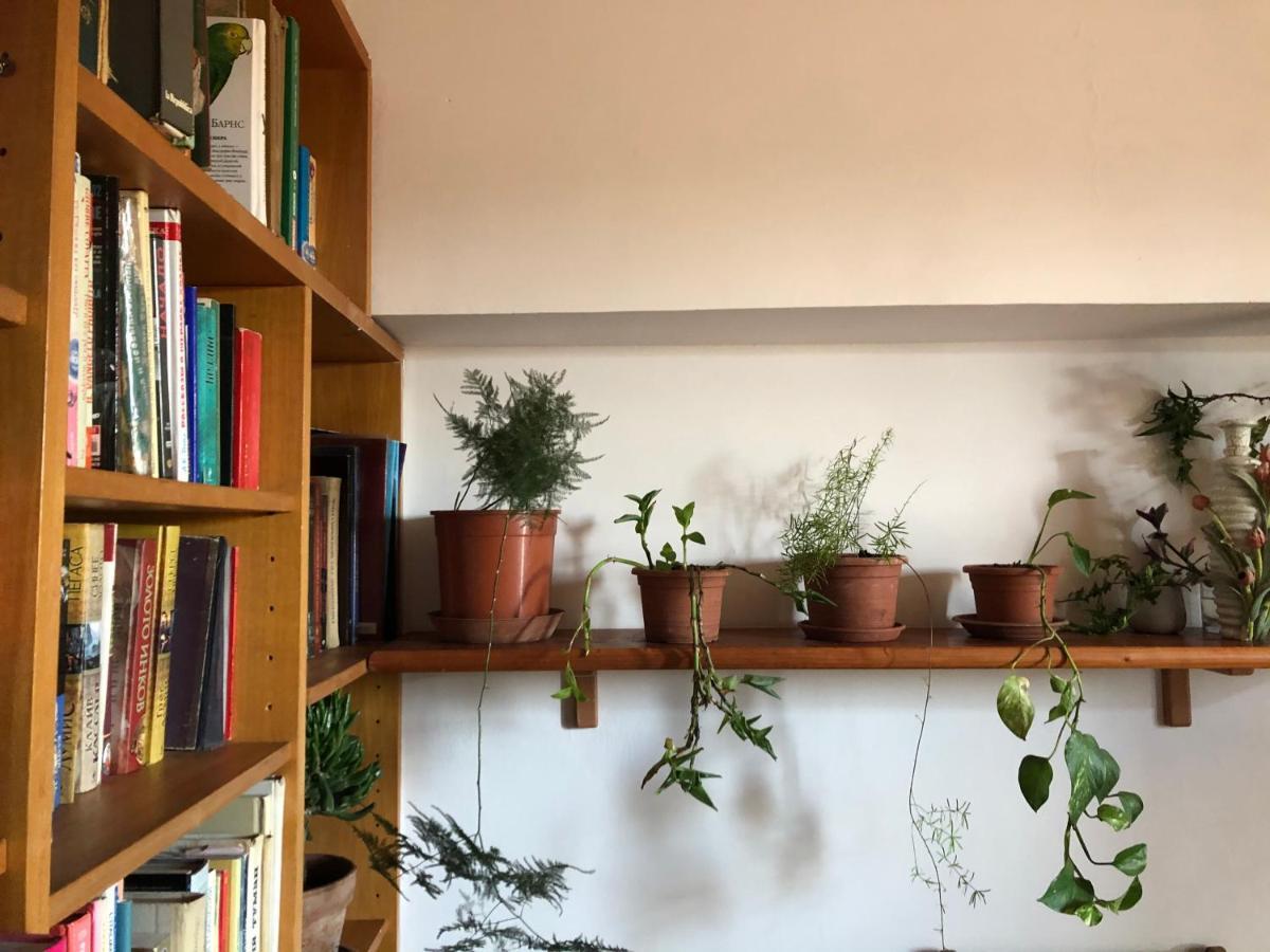 Lizartgarden Panoramic Privat bolig