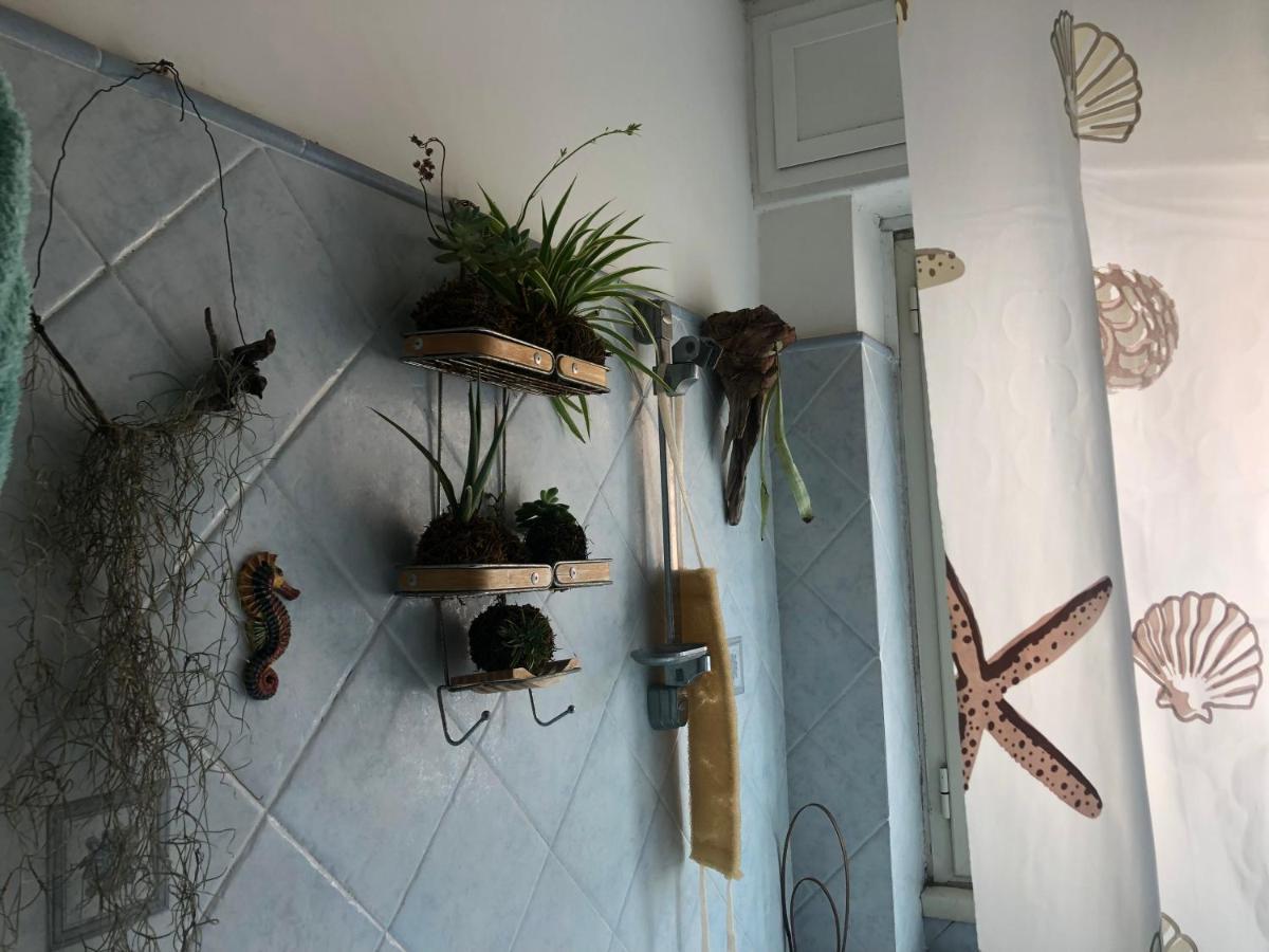 Privat bolig Lizartgarden Panoramic *