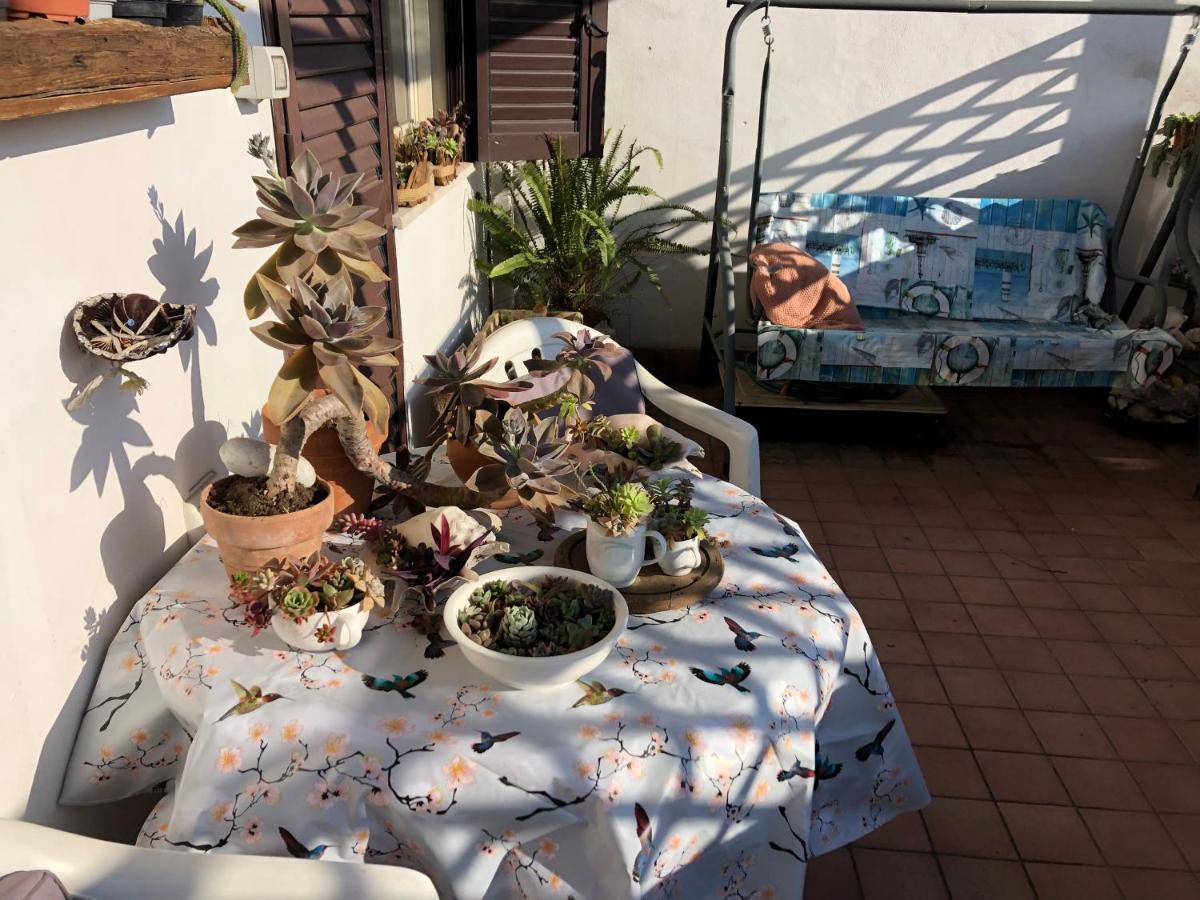 Rum i privatbostad Lizartgarden Panoramic