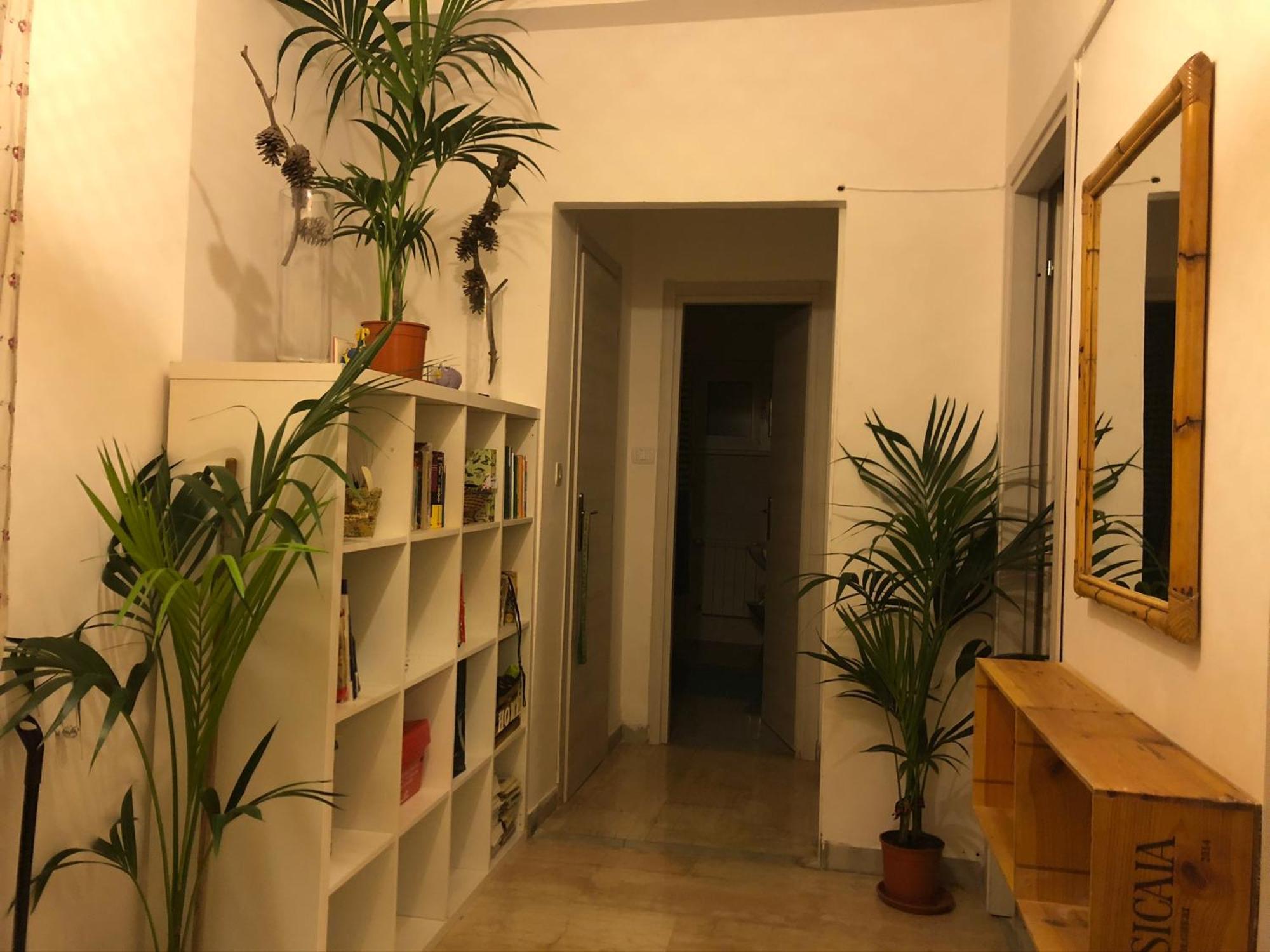 Lizartgarden Panoramic * Rom